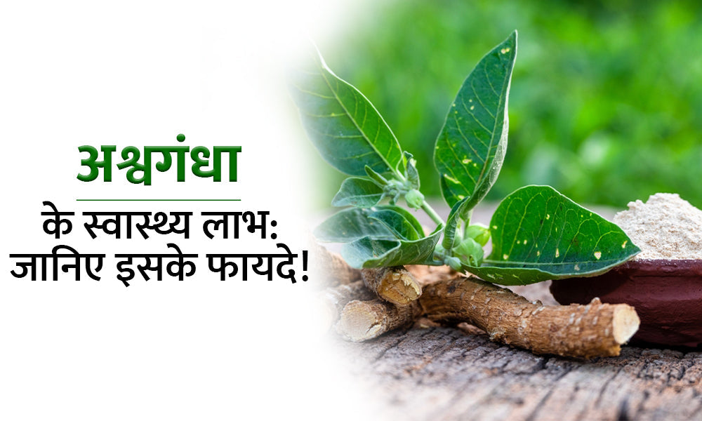अश्वगंधा के फायदे! - Ashwagandha ke Fayde