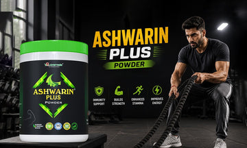 Which Protein Powder is Best for Muscle Gain?