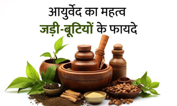5 शक्तिशाली आयुर्वेदिक जड़ी-बूटियाँ और उनके अद्भुत लाभ