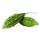 Karela Seed